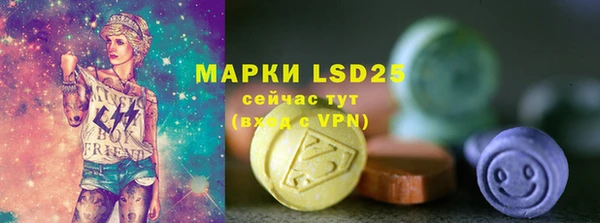 ГАЛЛЮЦИНОГЕННЫЕ ГРИБЫ Вяземский
