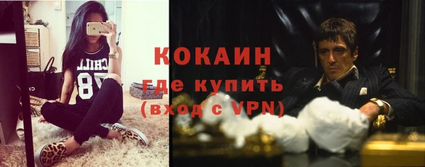 ГАЛЛЮЦИНОГЕННЫЕ ГРИБЫ Вяземский