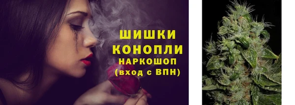ГАЛЛЮЦИНОГЕННЫЕ ГРИБЫ Вяземский