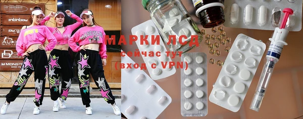 ГАЛЛЮЦИНОГЕННЫЕ ГРИБЫ Вяземский