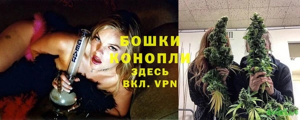 ГАЛЛЮЦИНОГЕННЫЕ ГРИБЫ Вяземский