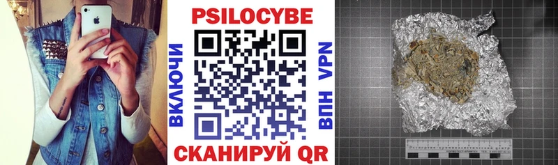 Псилоцибиновые грибы Psilocybe  Нахабино 